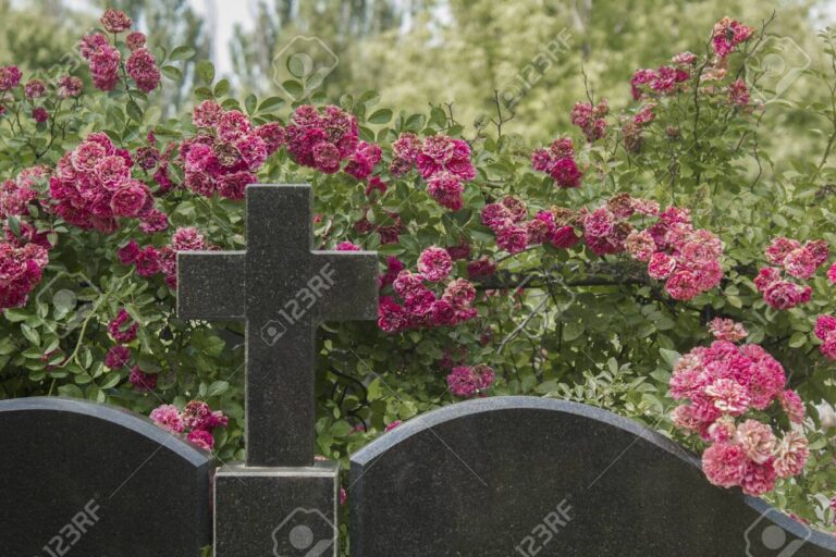 tombeau dans un cimetière