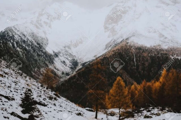 paysage enneigé col du bonhomme