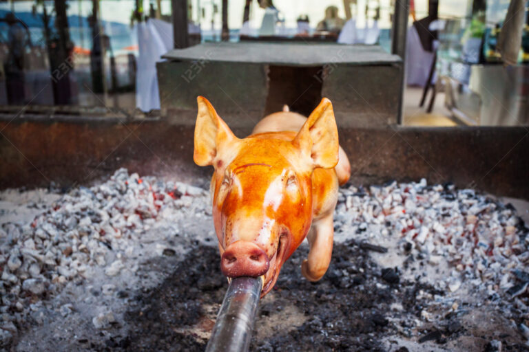 cochon de lait