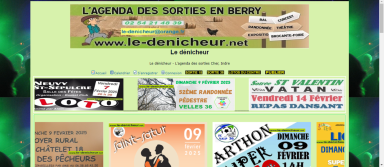 le dénicheur 36 : capture d'écran de la page d'accueil