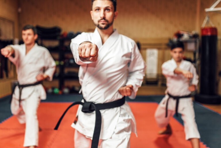 martial arts aikido