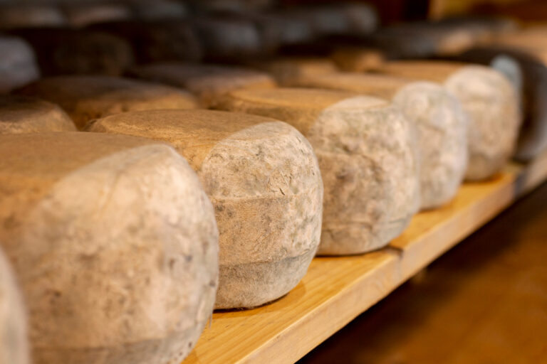 fromage corse