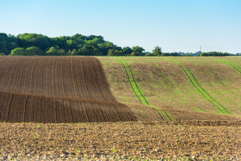 crop formation