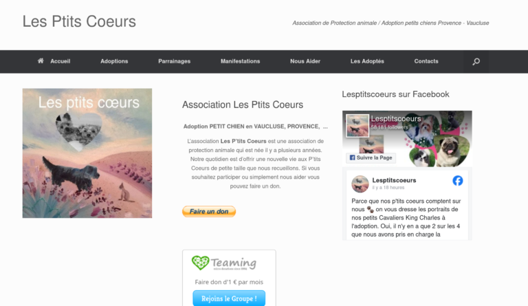 les petits coeurs