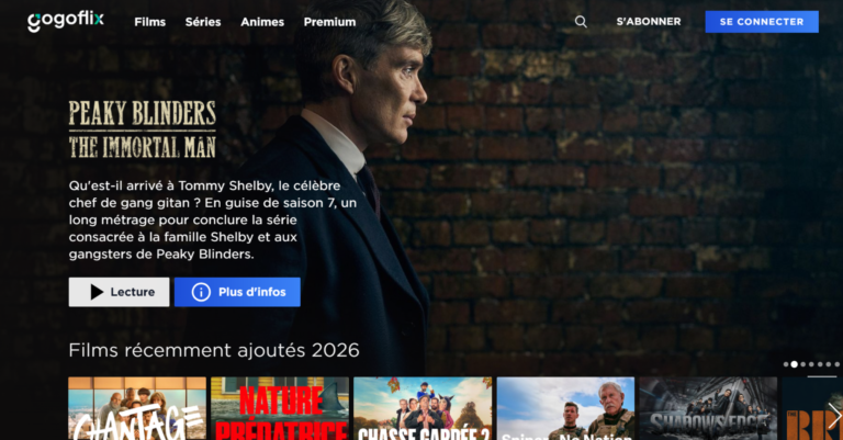 Gogoflix : tout savoir sur la plateforme de streaming Gogoflix